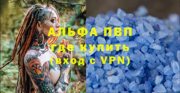 стаф Беломорск
