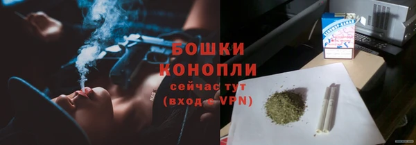 прущие крисы Белоозёрский