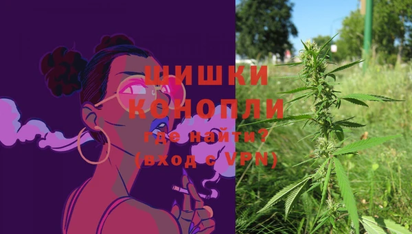тгк Белокуриха