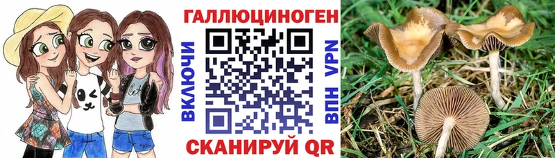 kraken рабочий сайт  купить наркотики сайты  Гремячинск  Псилоцибиновые грибы Magic Shrooms 